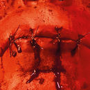 Zunge 8 September 2023