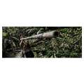 Thumbnail for version as of 21:04, 13 May 2026
