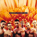 Visions promotional CD cover