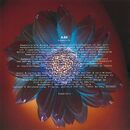 French lyrics for Rammstein