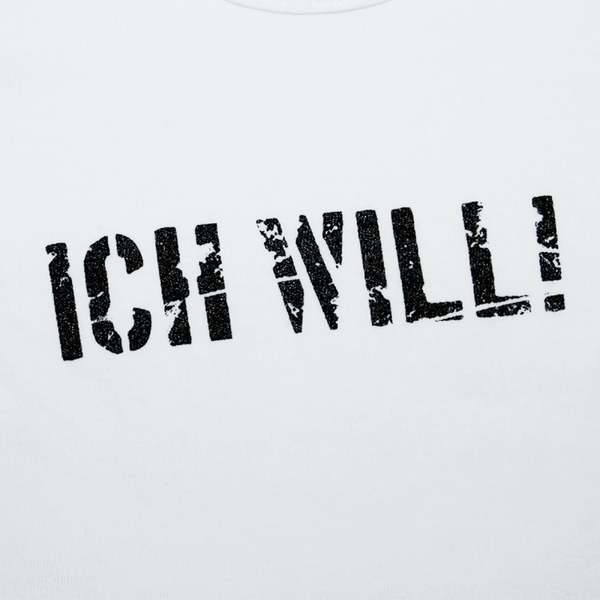 File:merch 1232 4.webp