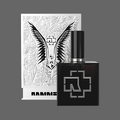 Thumbnail for version as of 22:25, 13 May 2026