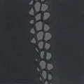 Thumbnail for version as of 23:35, 13 May 2026
