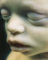 Thumbnail for version as of 03:33, 31 May 2026