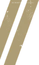 2004 Black Box stripes. Used on the front cover of Reise, Reise.