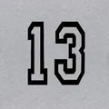 Thumbnail for version as of 23:41, 13 May 2026