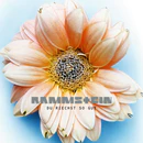 Re-edited cover used on XXXIII and the 2026 digital single