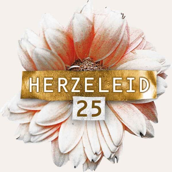 File:Herz25-logo.jpg
