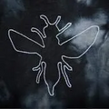 Thumbnail for version as of 23:52, 13 May 2026