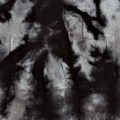 Thumbnail for version as of 23:47, 12 May 2026