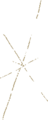 Thumbnail for version as of 05:42, 12 January 2025
